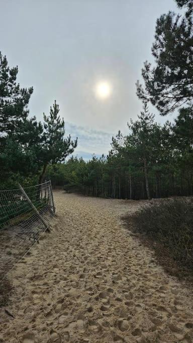 Lägenhet Neptun Nad Morzem Wyspa Sobieszewska *